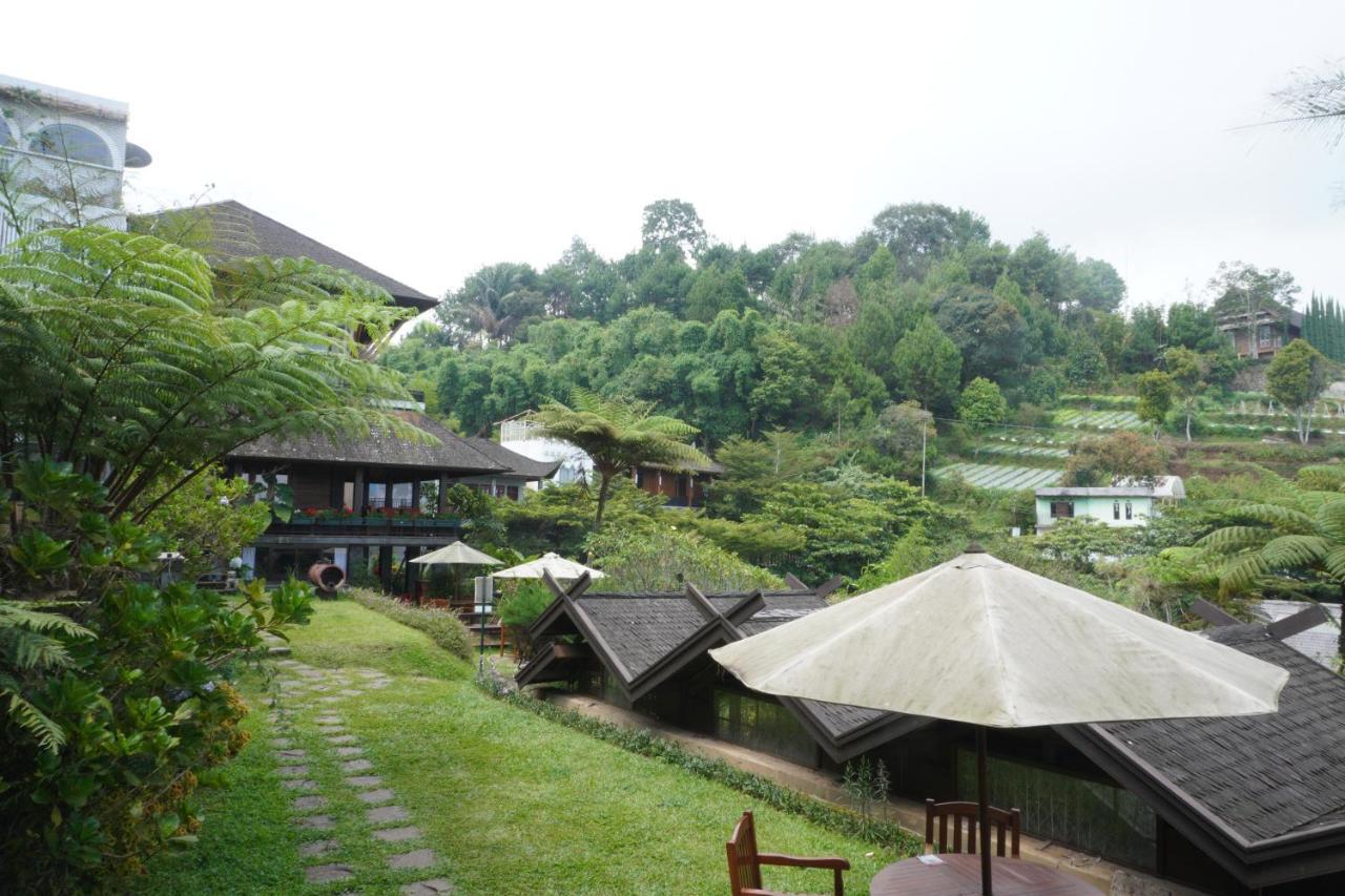Rumah Stroberi Organic Farm & Family Lodge Lembang Kültér fotó