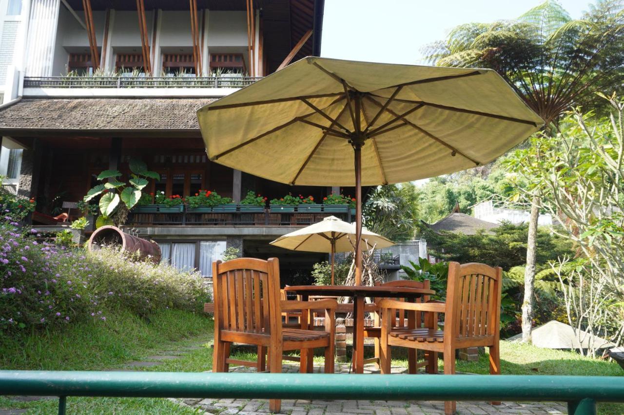 Rumah Stroberi Organic Farm & Family Lodge Lembang Kültér fotó