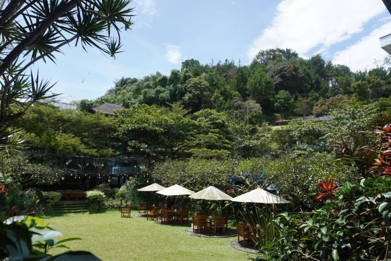 Rumah Stroberi Organic Farm & Family Lodge Lembang Kültér fotó