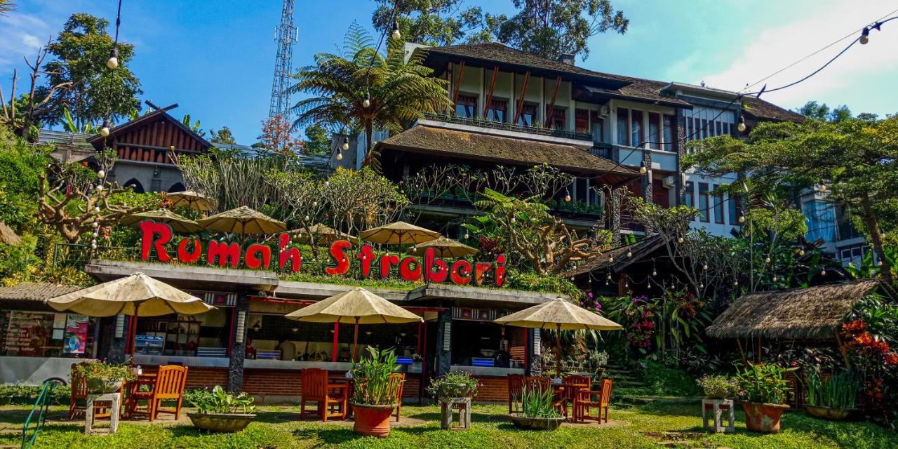 Rumah Stroberi Organic Farm & Family Lodge Lembang Kültér fotó