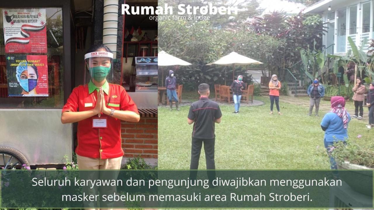 Rumah Stroberi Organic Farm & Family Lodge Lembang Kültér fotó
